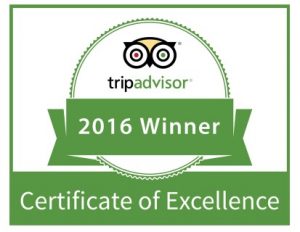 best diving playa del carmen