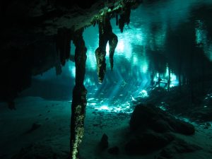 Dos Ojos Cenote