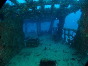 wreck dive in puerto morelos