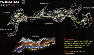 Tajma Ha Cenote
