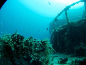Awesome wreck dive puerto morelos