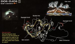Dos Ojos Bat Cave