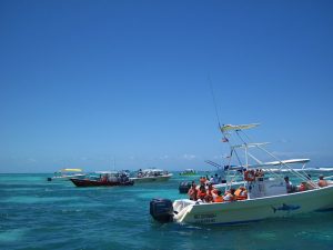 Terrible practices for whale shark trips
