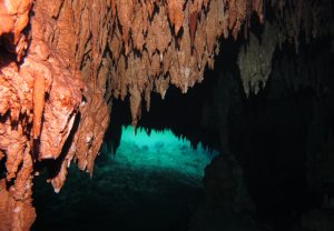 Scuba Diving in Cenote Dreamgate
