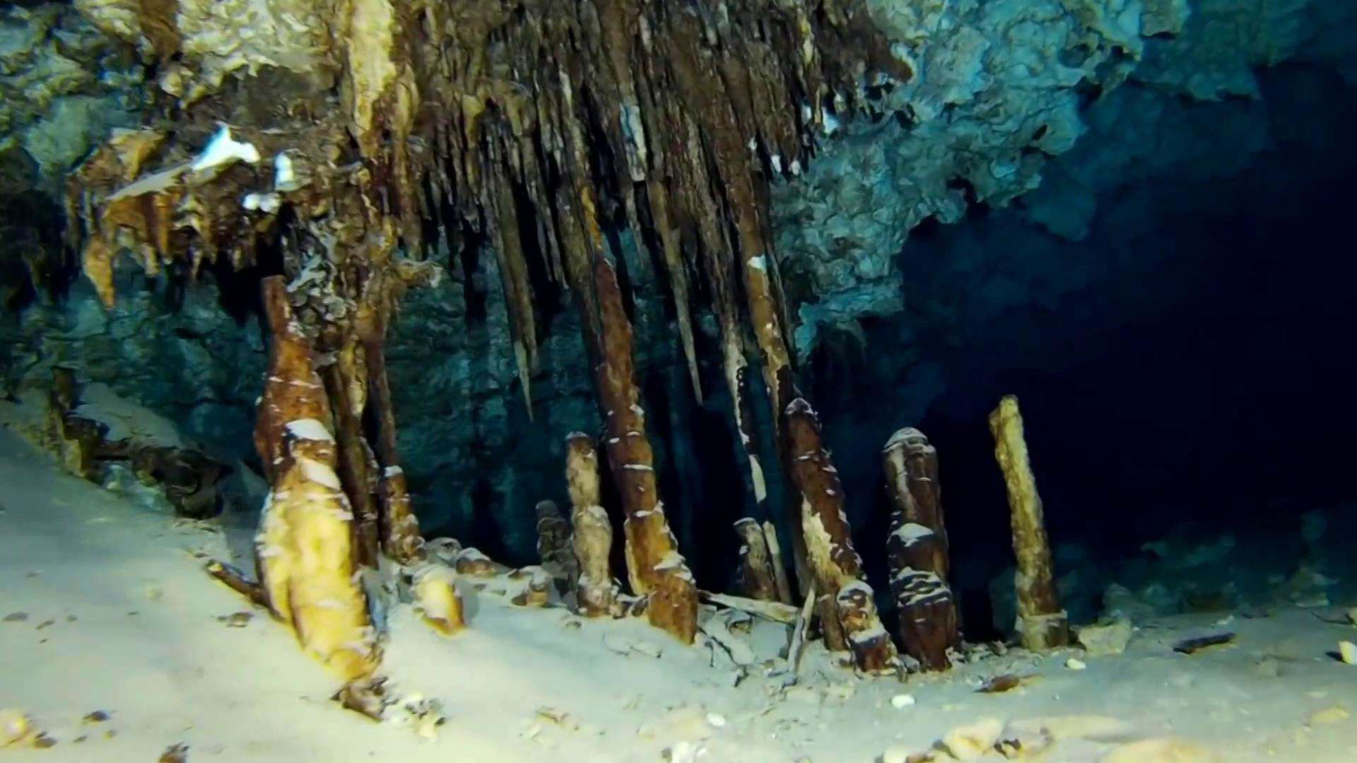 Cave diving Mexico