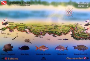 Jardines Reef