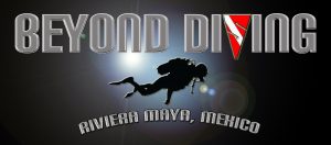Beyond Diving Logo