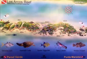 Los Arcos