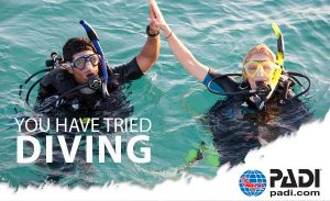 Discover Scuba Diving