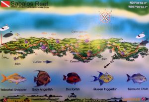 Sabalos Reef Playa del Carmen