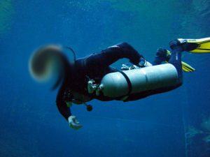 good sidemount