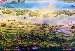 Tortugas Reef