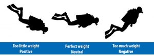 Proper diving weight