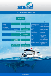 SDI Scuba Diving Courses
