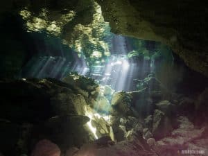Cavern Diving Playa del Carmen